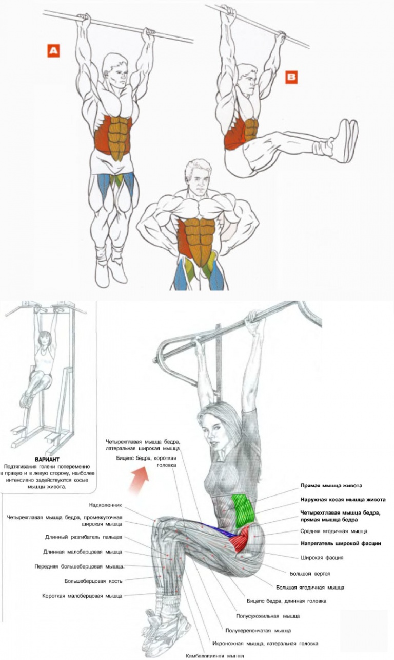 Схема упражнений на пресс на турнике